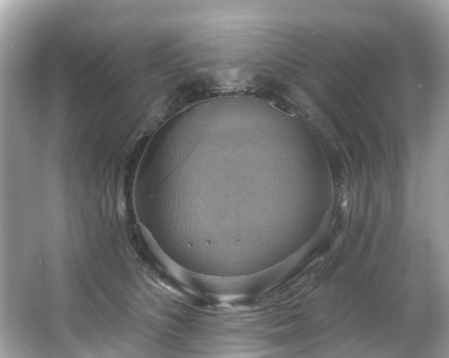 X0000063530516200601231545