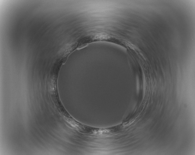 X0000063530517200601231545