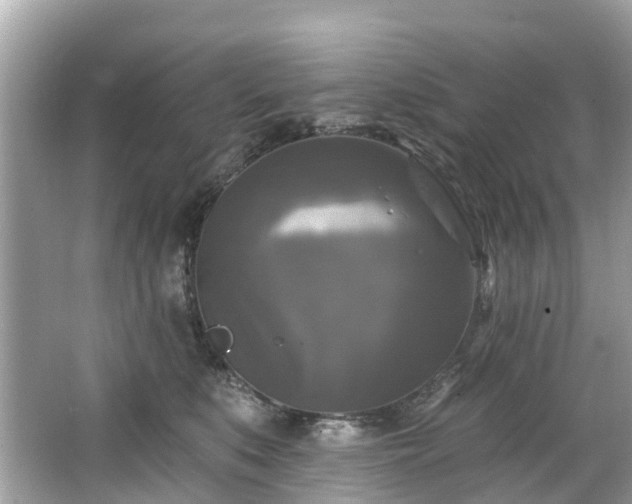 X0000063530519200601231545