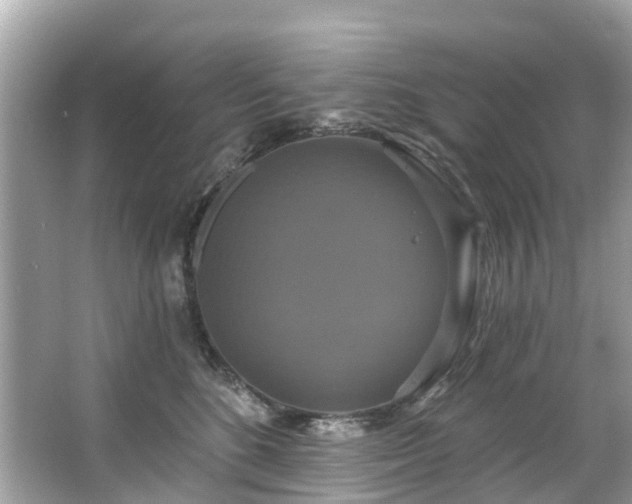 X0000063530520200601231545