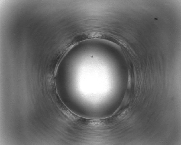 X0000063530521200601231545