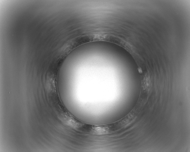 X0000063530522200601231545