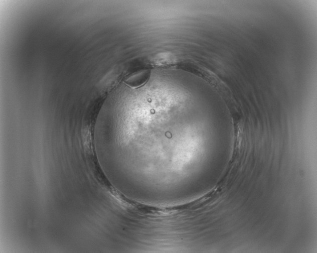 X0000063530523200601231545