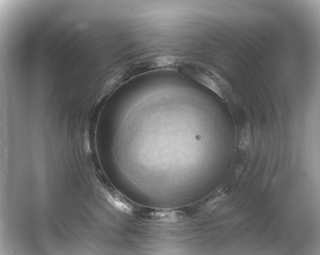 X0000063530524200601231545