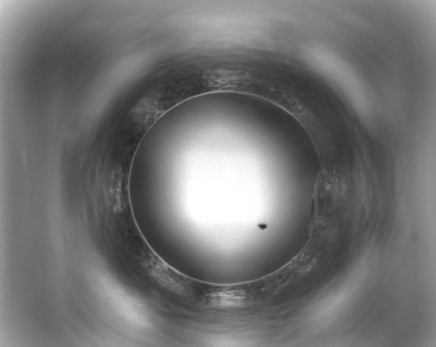 X0000063530525200601231545