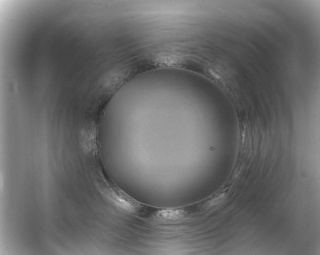 X0000063530526200601231545