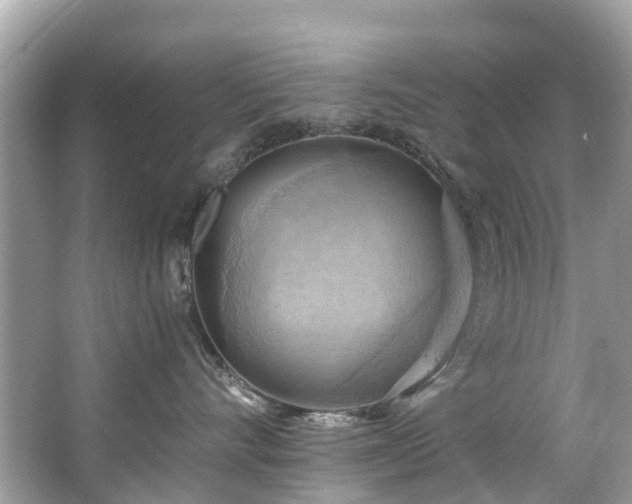 X0000063530528200601231545