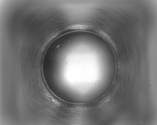 X0000063530529200601231544