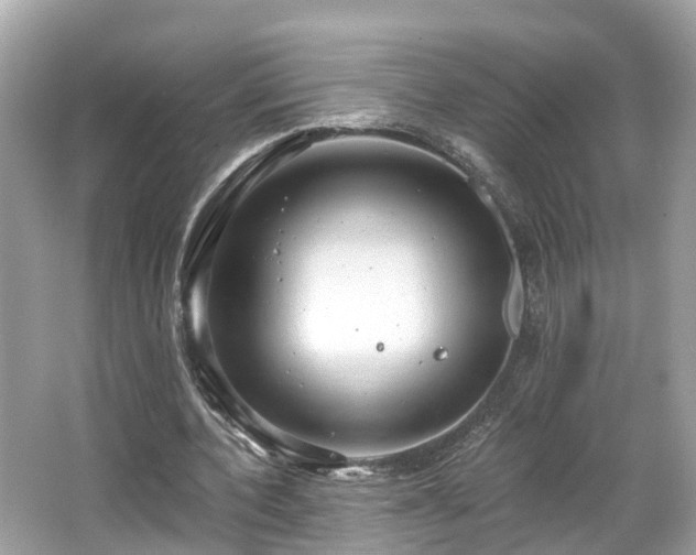 X0000063530532200601231544