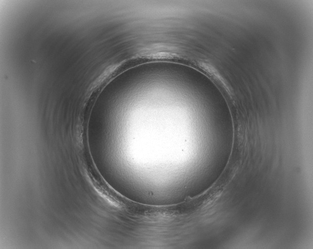 X0000063530533200601231544