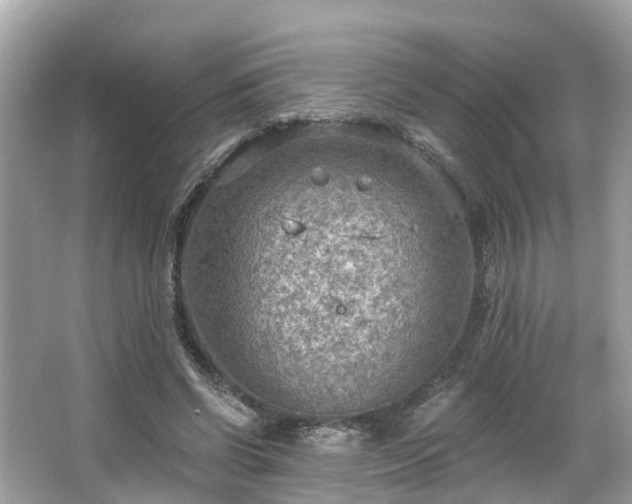 X0000063530542200601231544