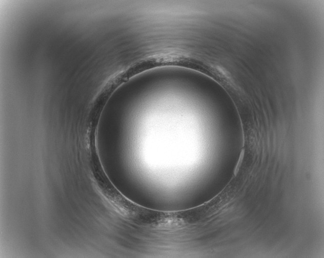 X0000063530543200601231544