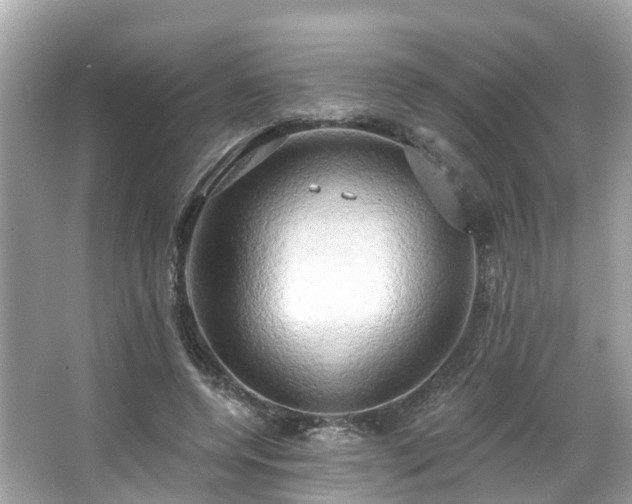 X0000063530544200601231544