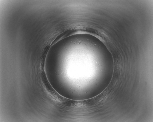 X0000063530546200601231544