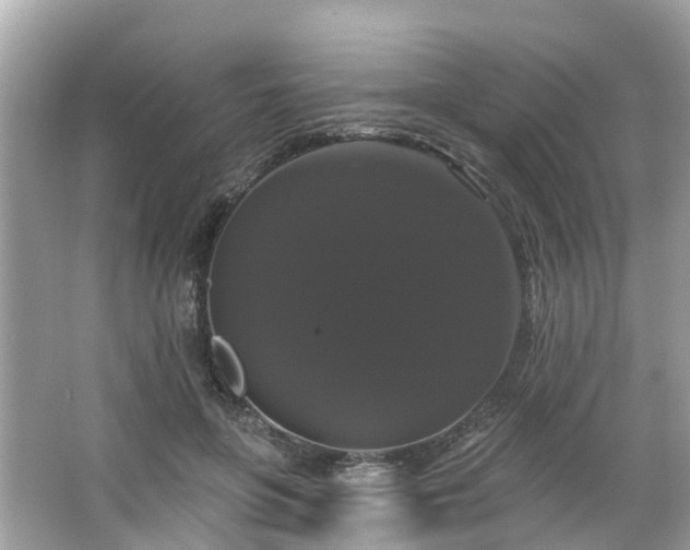 X0000063530551200601231544