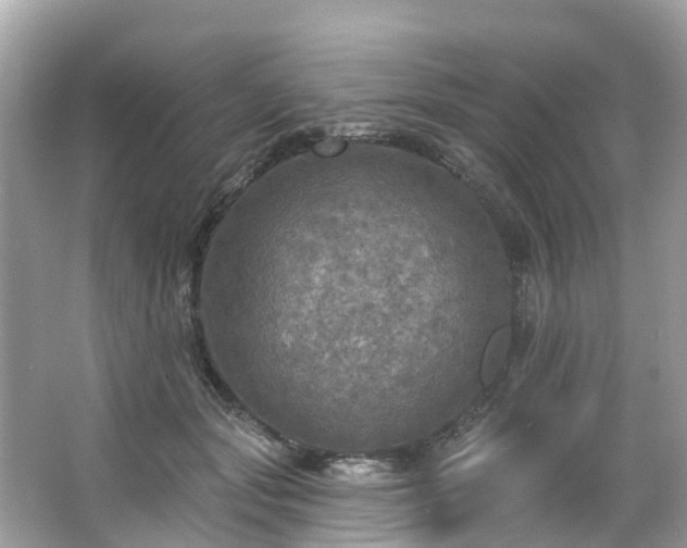 X0000063530557200601231544