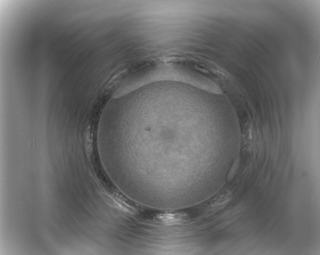 X0000063530558200601231544