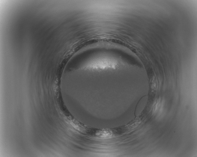 X0000063530559200601231544