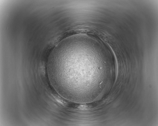 X0000063530562200601231545