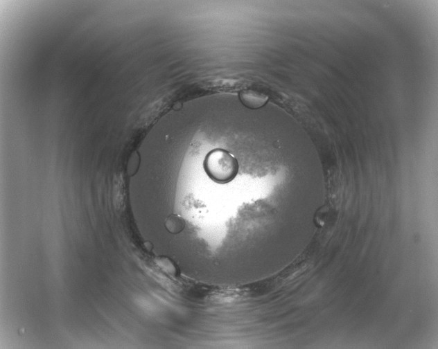 X0000063530563200601231545