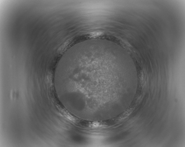 X0000063530565200601231545