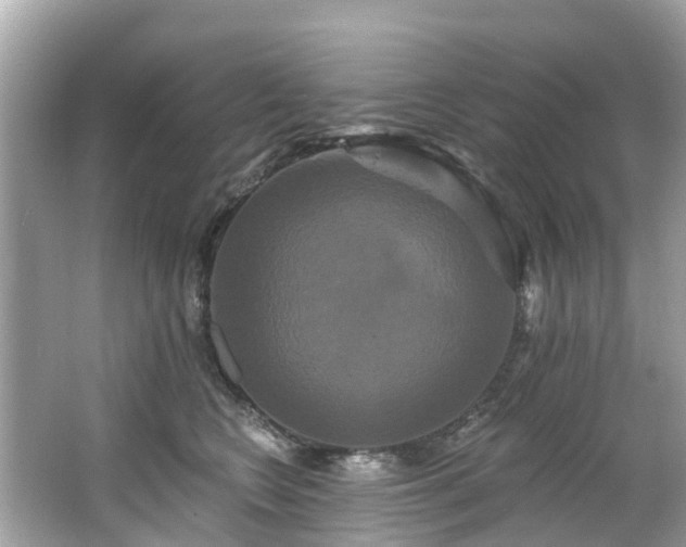 X0000063530566200601231545