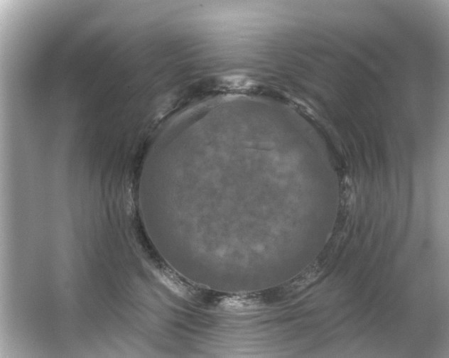 X0000063530568200601231545