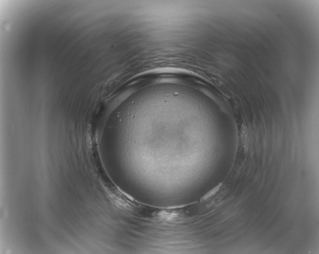 X0000063530570200601231545