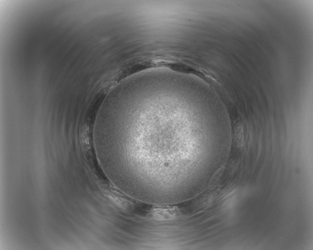 X0000063530571200601231545