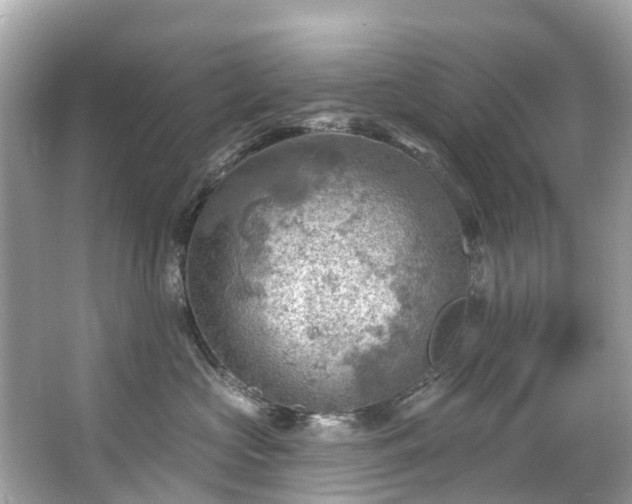 X0000063530573200601231545