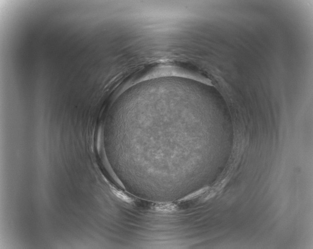 X0000063530576200601231545