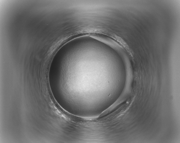 X0000063530577200601231544