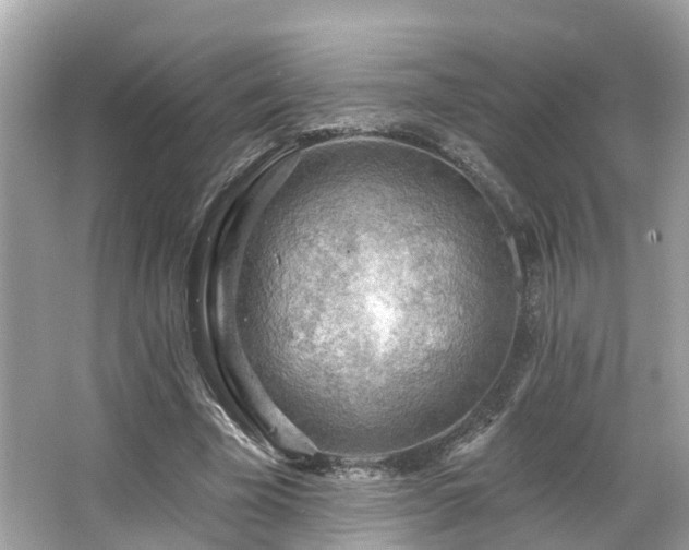 X0000063530585200601231544