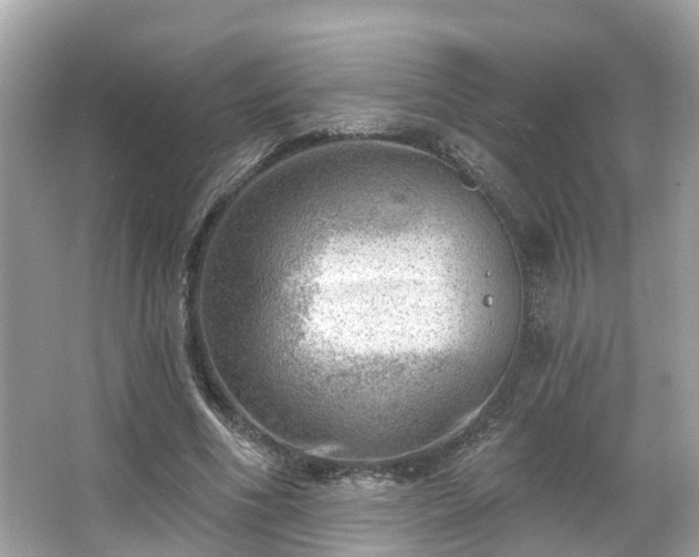 X0000063530586200601231544