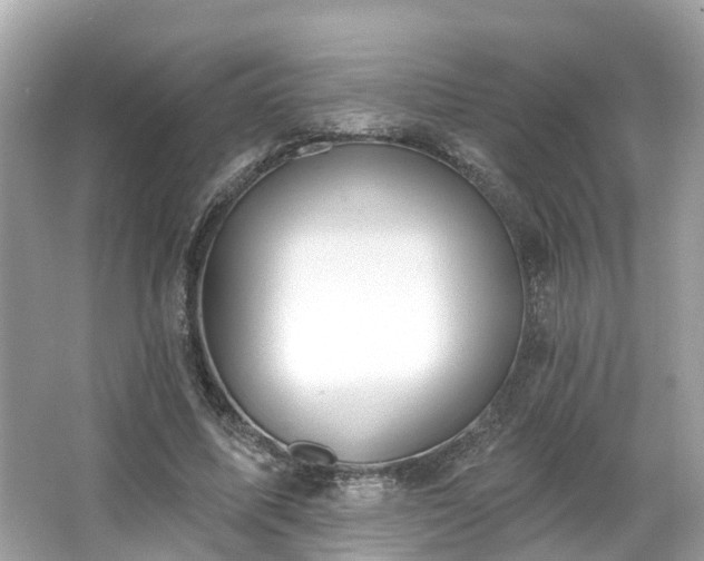 X0000063530587200601231544