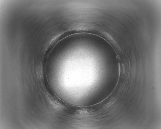 X0000063530588200601231544