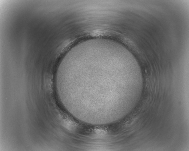 X0000063530592200601231544