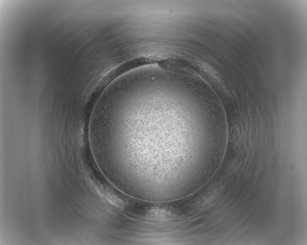 X0000063530596200601231544