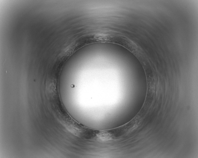 X0000063530603200601231543