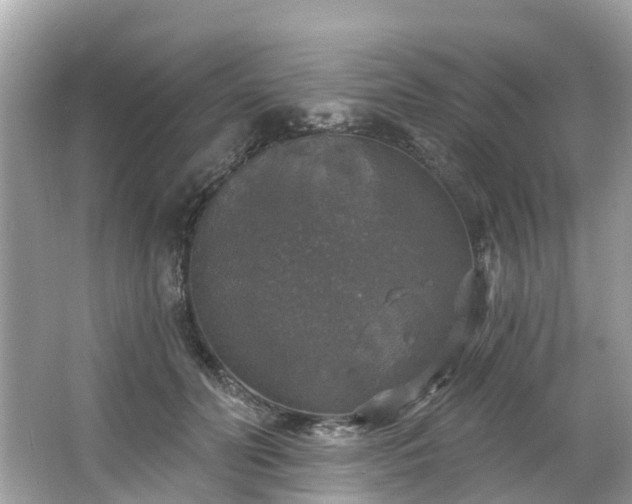 X0000063530606200601231543