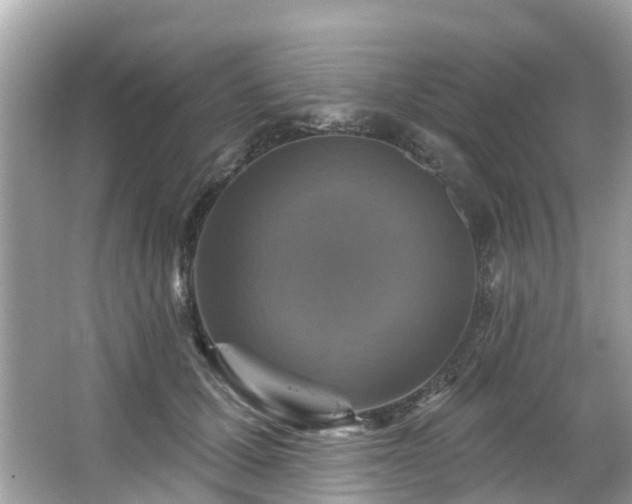 X0000063530607200601231543