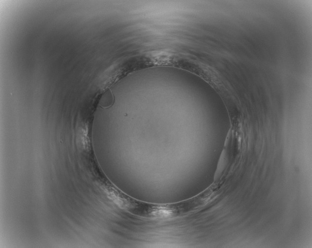 X0000063530610200601231543