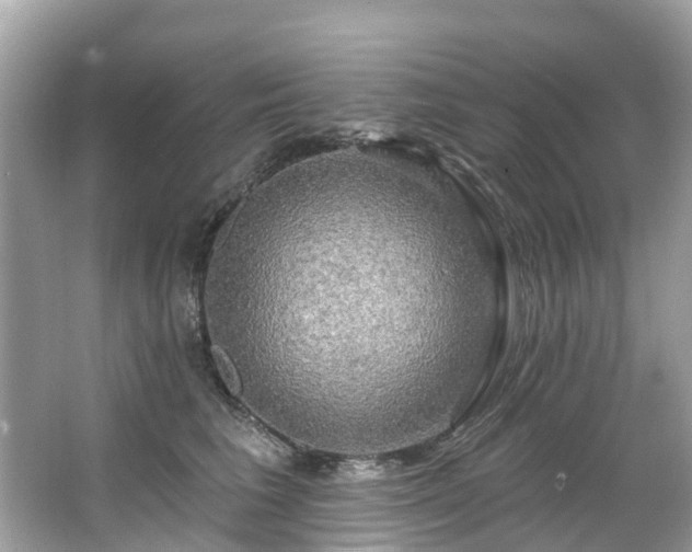 X0000063530613200601231543