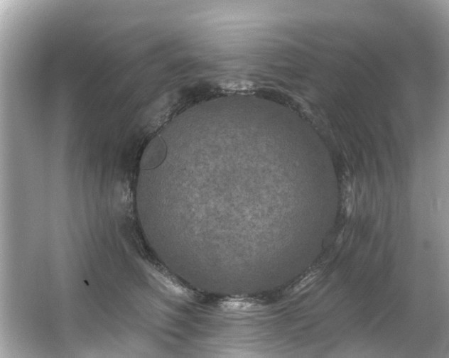 X0000063530614200601231543