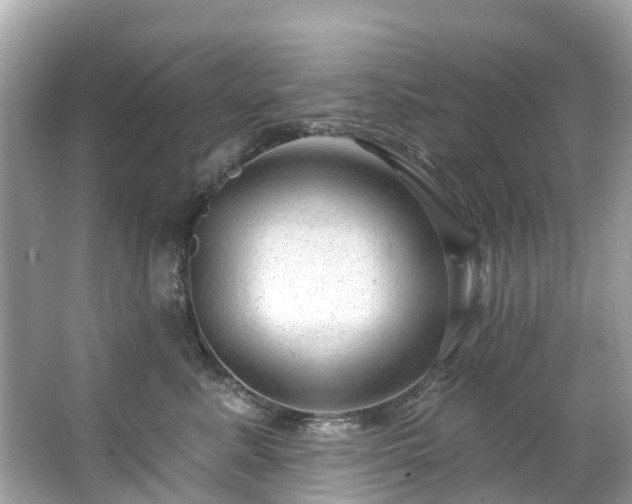 X0000063530619200601231543