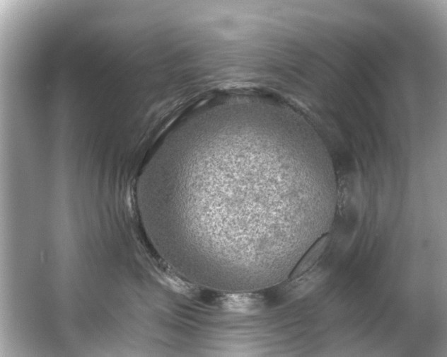 X0000063530623200601231543