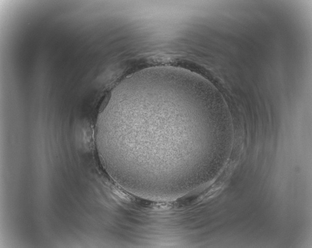 X0000063530624200601231543