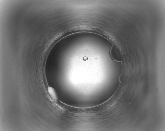 X0000063530625200601231542