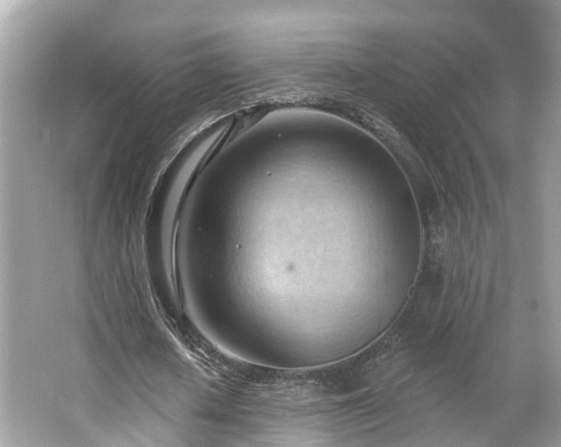 X0000063530626200601231542