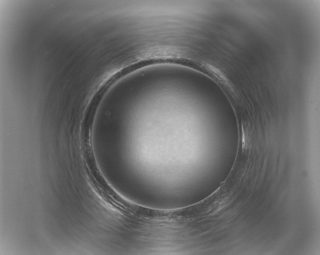 X0000063530627200601231542